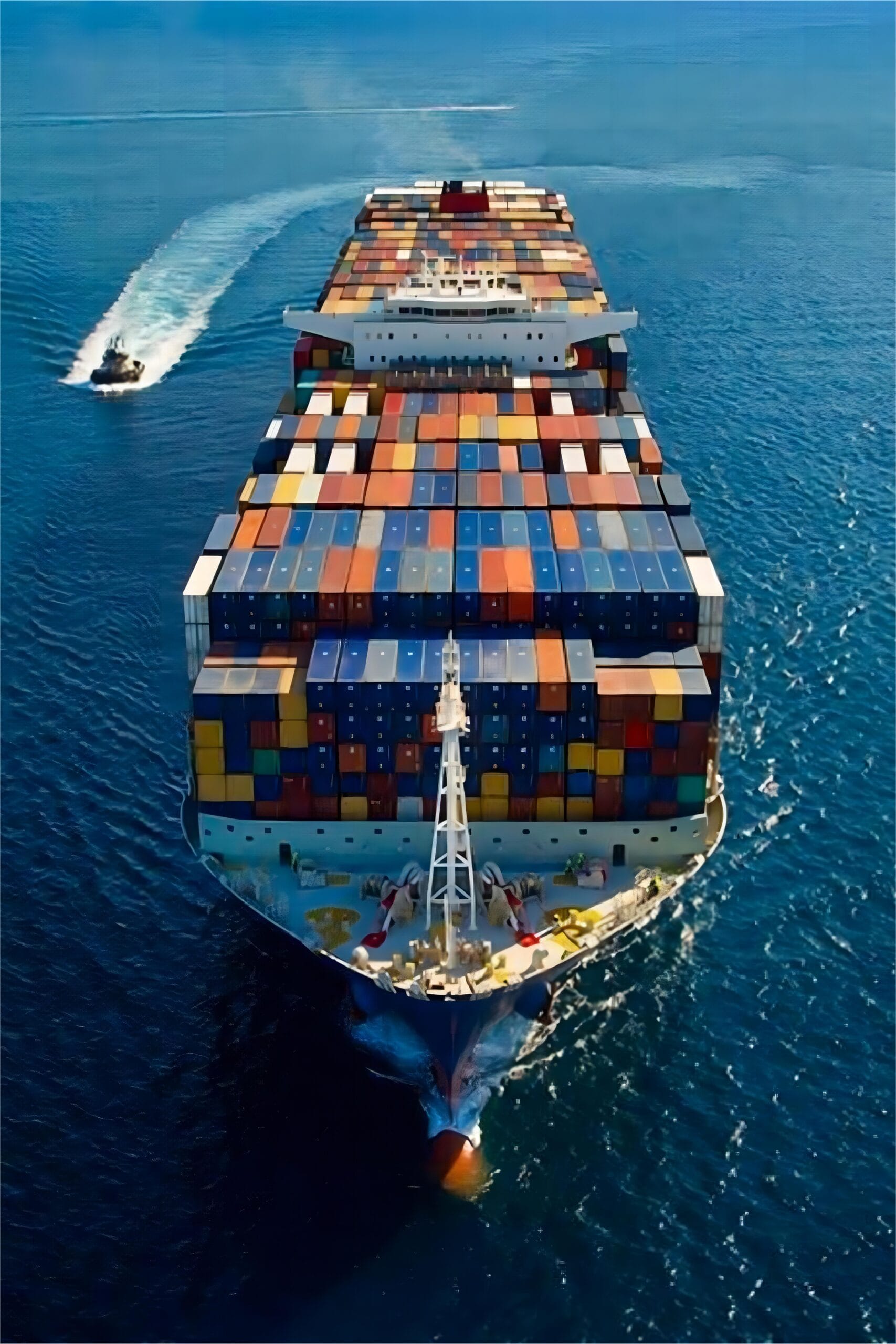Logistics professional checking shipping documents