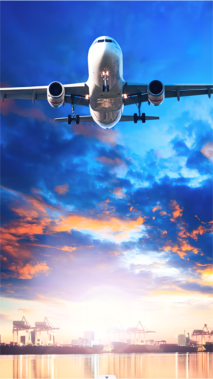 Logistics professional coordinating cargo delivery